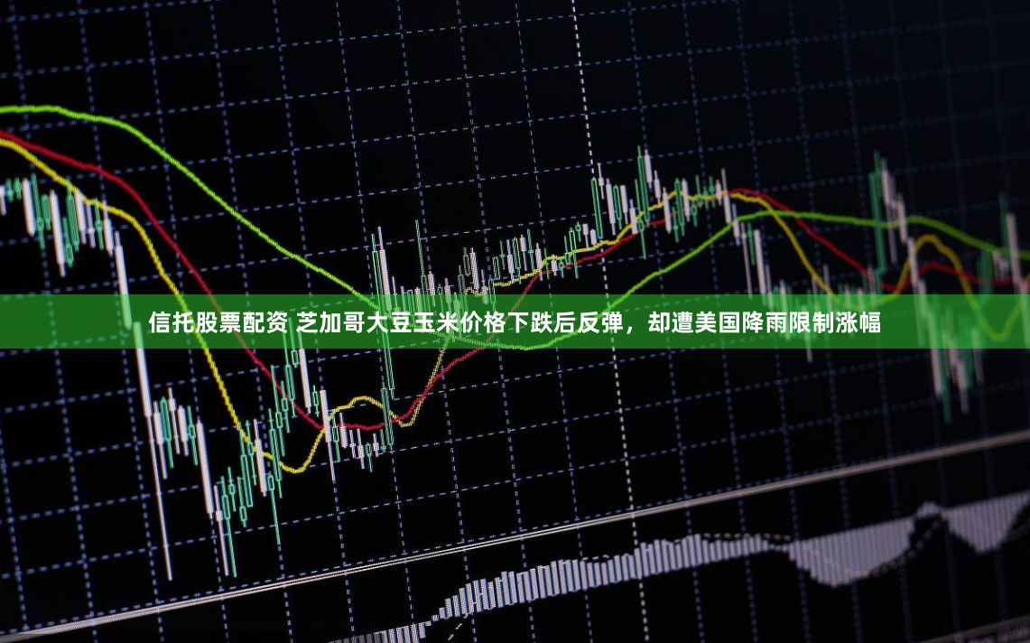 信托股票配资 芝加哥大豆玉米价格下跌后反弹，却遭美国降雨限制涨幅